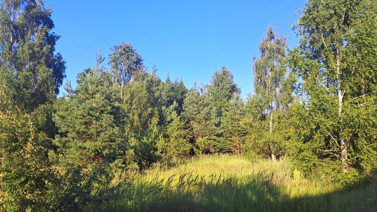 Продам масив земельних ділянок 75 соток під забудову передмістя Чернігова. Фото - 10