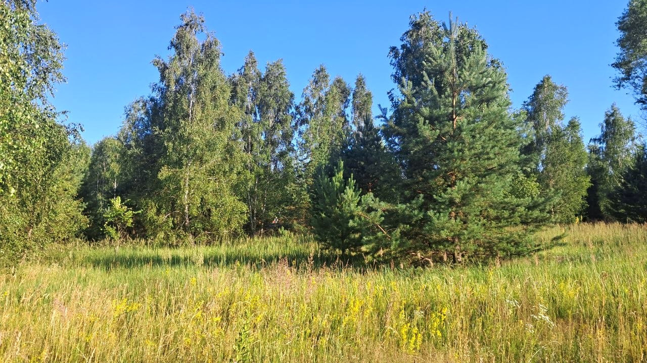 Продам масив земельних ділянок 75 соток під забудову передмістя Чернігова. Фото - 12