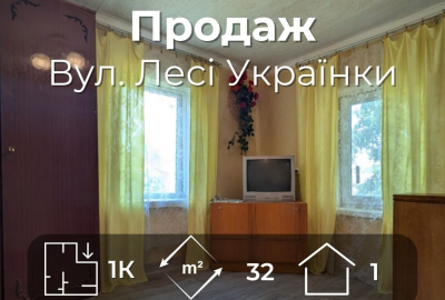 Окремий будинок у Чернігові, житловий стан, газове опалення