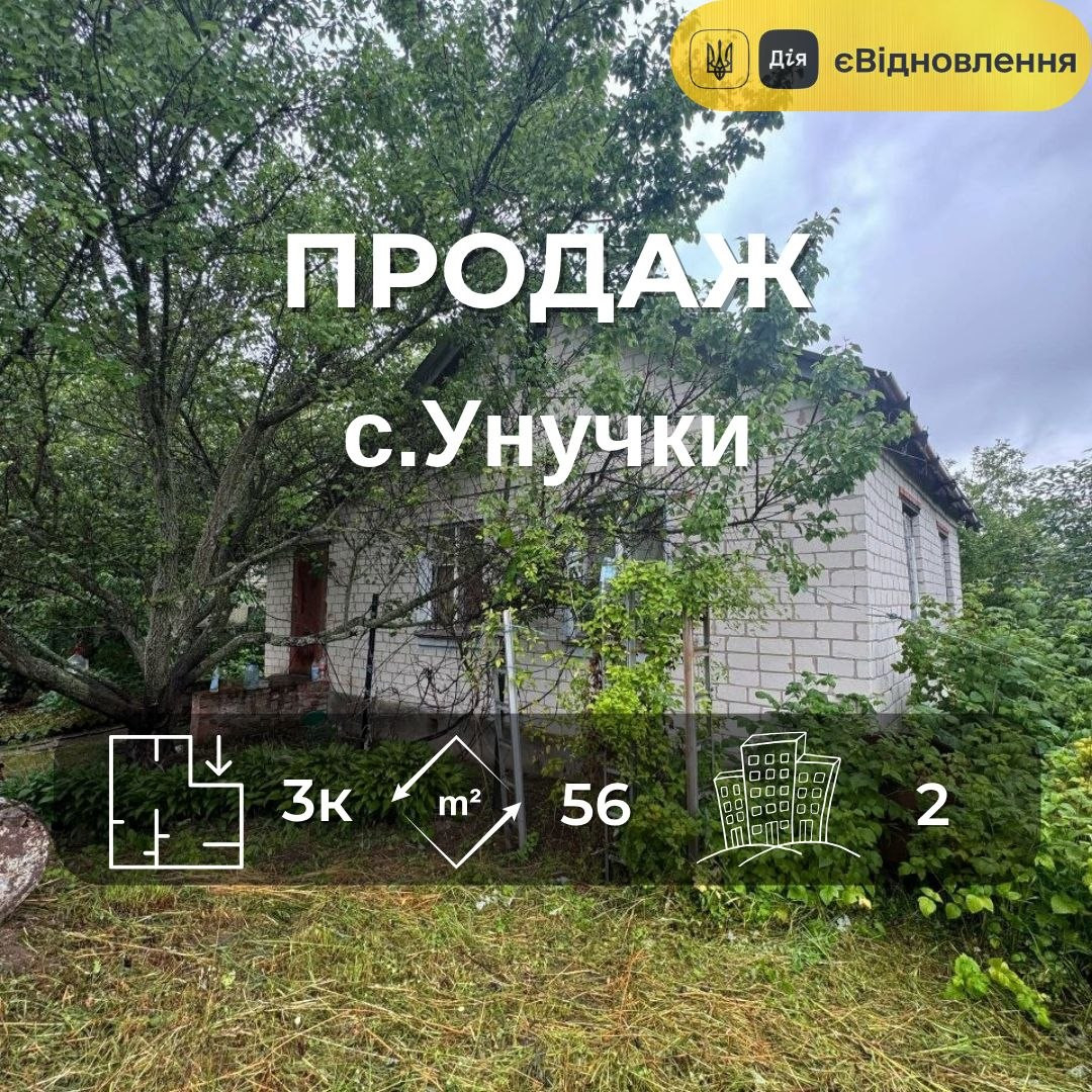 Будинок біля річки, 25 соток землі, с. Унучки, ЄВідновлення. Фото 1
