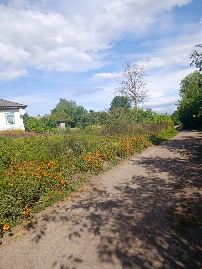 Затишний будинок 66 м² у Мені – господарські будівлі, погріб, город 10 соток. Фото - 12