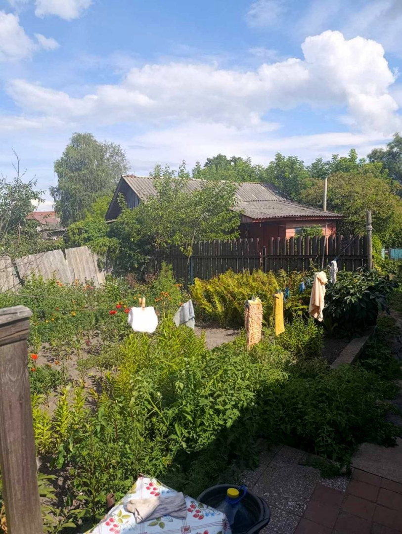 Затишний будинок 66 м² у Мені – господарські будівлі, погріб, город 10 соток. Фото - 10