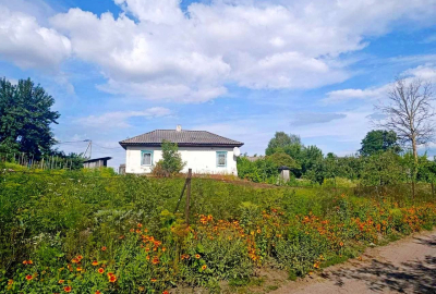 Затишний будинок 66 м² у Мені – господарські будівлі, погріб, город 10 соток