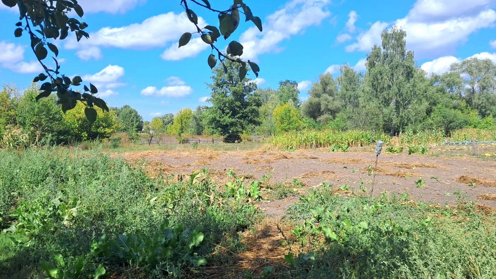 БУДИНОК біля ДЕСНИ 94 М² 25 соток пригород ЧЕРНІГОВА. Фото - 13