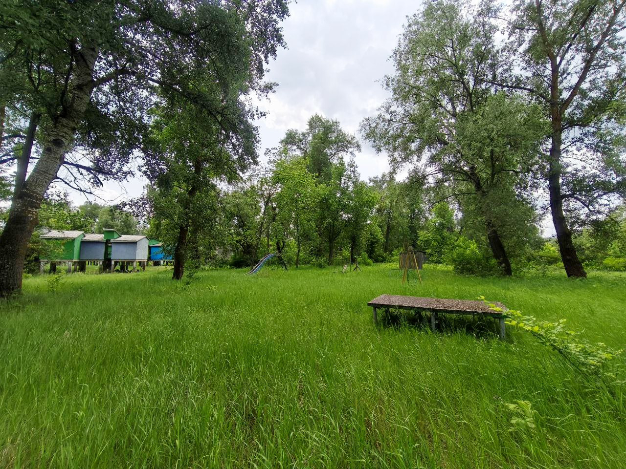 База відпочинку "Золотий Берег" річка Десна Ладинка, траса Чернігів-Київ.. Фото - 17