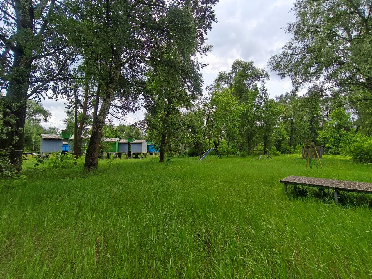 База відпочинку "Золотий Берег" річка Десна Ладинка, траса Чернігів-Київ.. Фото - 18
