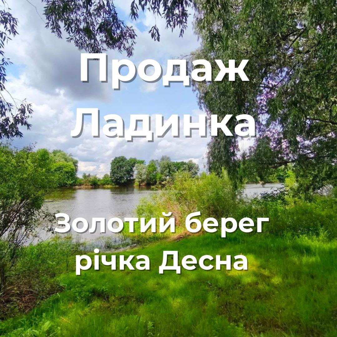 База відпочинку "Золотий Берег" річка Десна Ладинка, траса Чернігів-Київ.. Фото 1