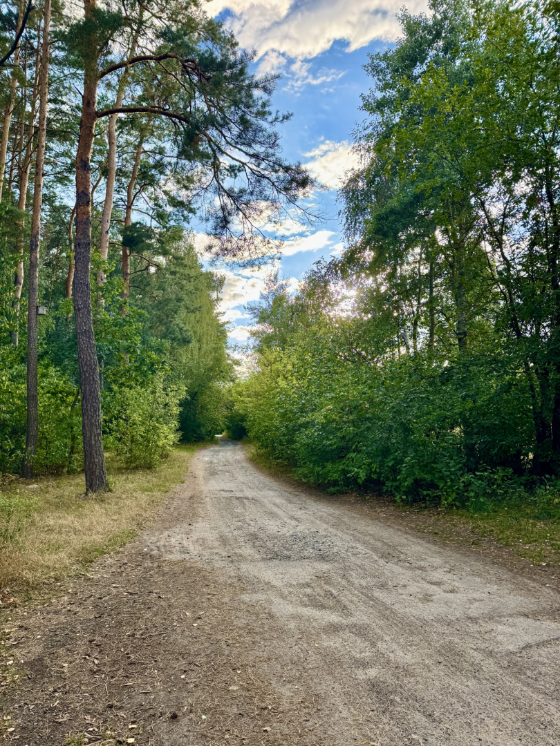 Затишна дача, СТ Схід. Фото - 15