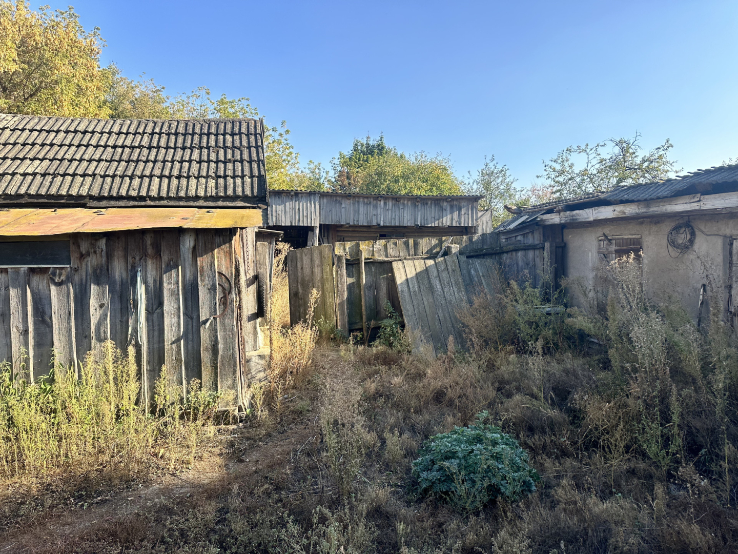 Цегляний будинок у с. Лоска, 4 кімнати, житловий стан. Фото - 23