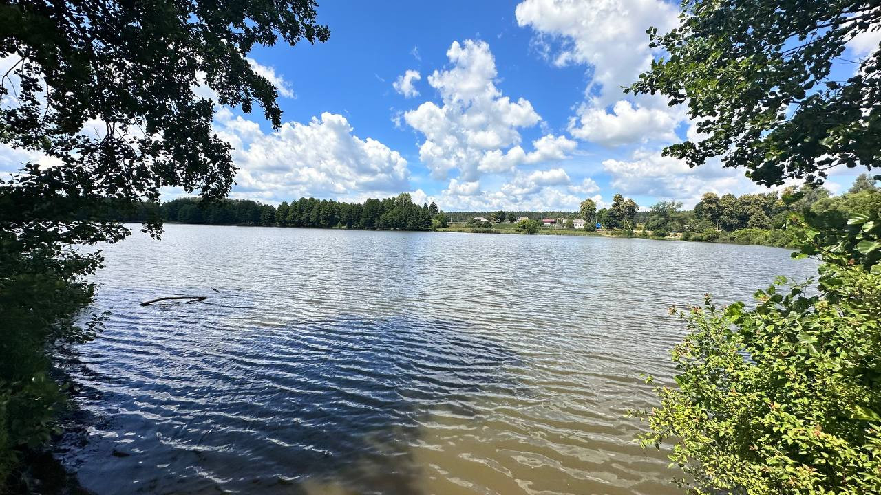 Цегляний будинок у с. Лоска, 4 кімнати, житловий стан. Фото - 10