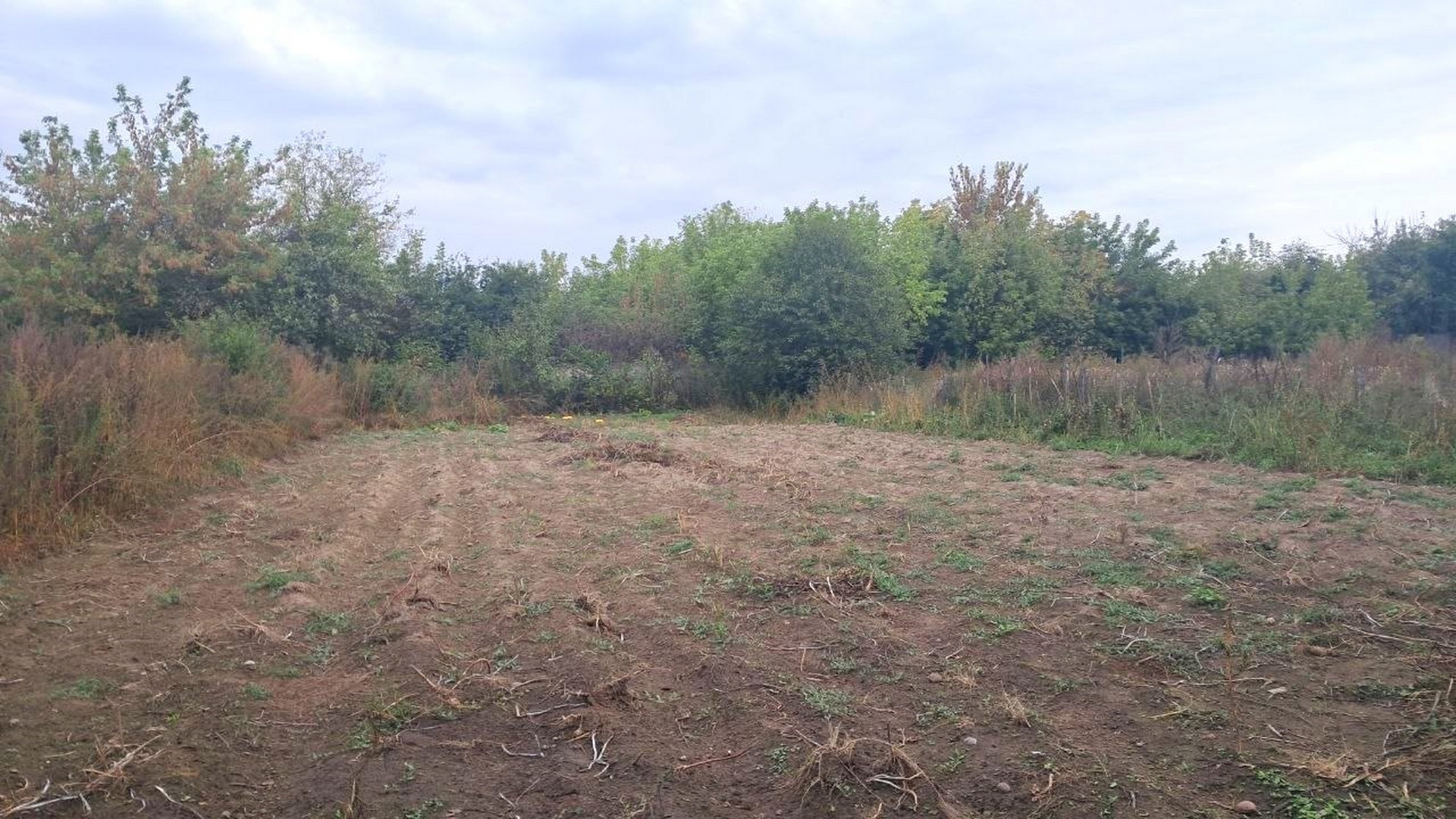 Продам будинок 90 м² 15 соток Брусилів біля Десни 18 км від Чернігова. Фото - 14